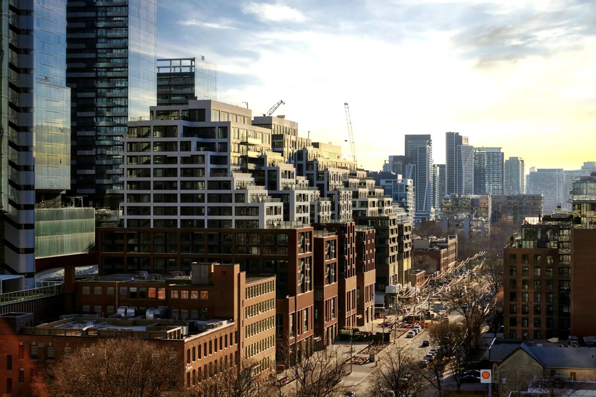Condominium towers along a tree-lined street