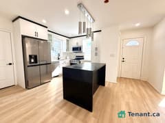 Fully Renovated Bungalow Near Yorkdale!