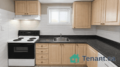 Bright Spacious 1 Bedroom Basement Unit 