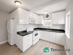 2 Bedroom 1 Bathroom Main Floor For Rent