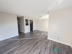 37 Rykert St · 217